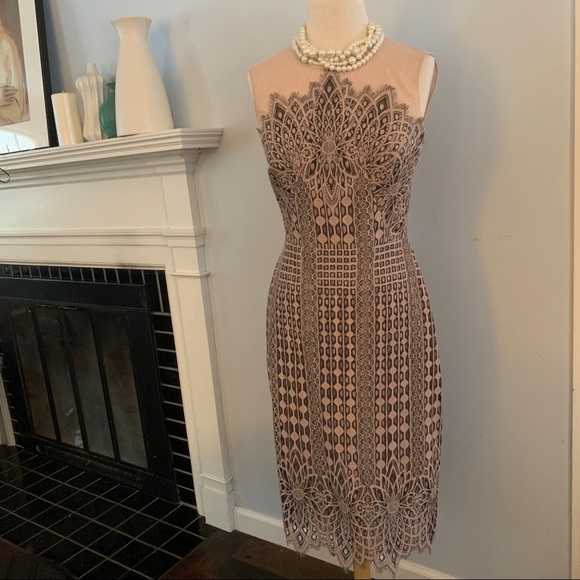 BCBG MaxAzria blush & black lace dress NEW nude - Picture 7 of 16